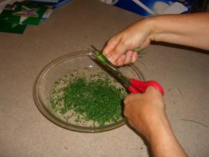 chives--snip with scissors
