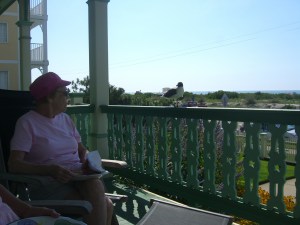seagull negotiating for Hanny's breakfast