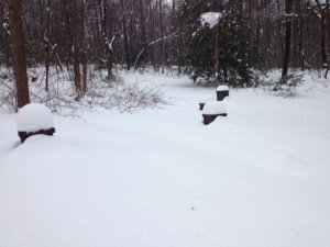The bee yard during the Winter Storm Pax. Who names a winter storm "Peace?"