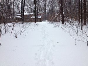 It was easier walking down to the bees, than coming back up!