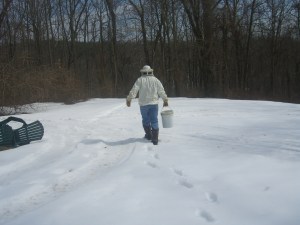 Let It Bee Spring--Beekeeper starts the season
