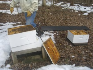 Switching the top box to bottom.