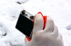 The bees don't know that they can't take selfies through the viewfinder.