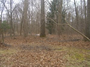 There is green in there.