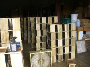 More bees than you want to count!