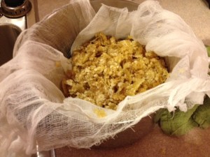 Cappings from honey box ready to be melted into wax for lip balm